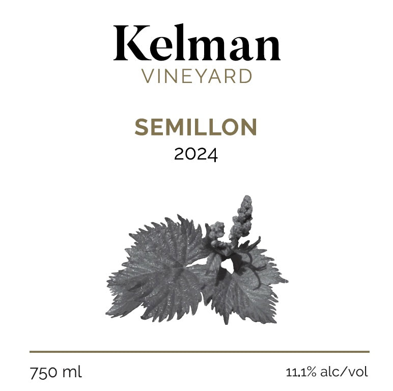 Semillon 2024