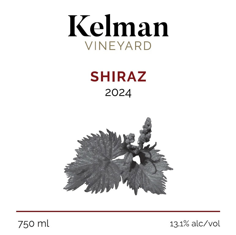 Shiraz 2024
